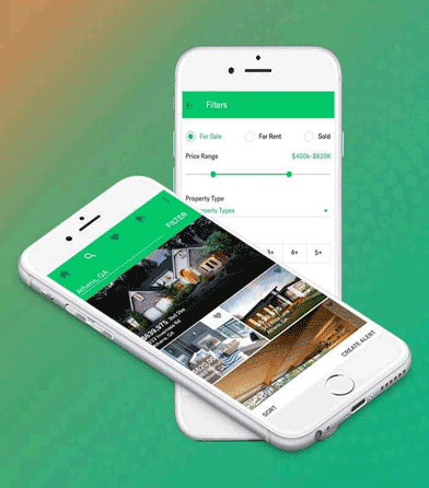 Real Estate App Developer