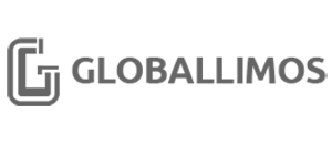 Global Limos Website Builder