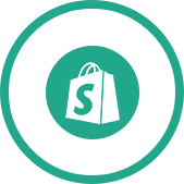 Shopify Web Design Company